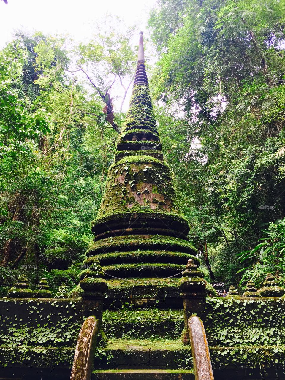 Ancient pagoda with moss in the forest