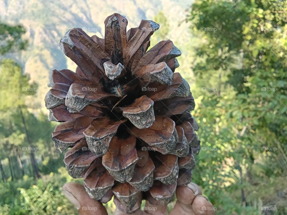 wooden flower