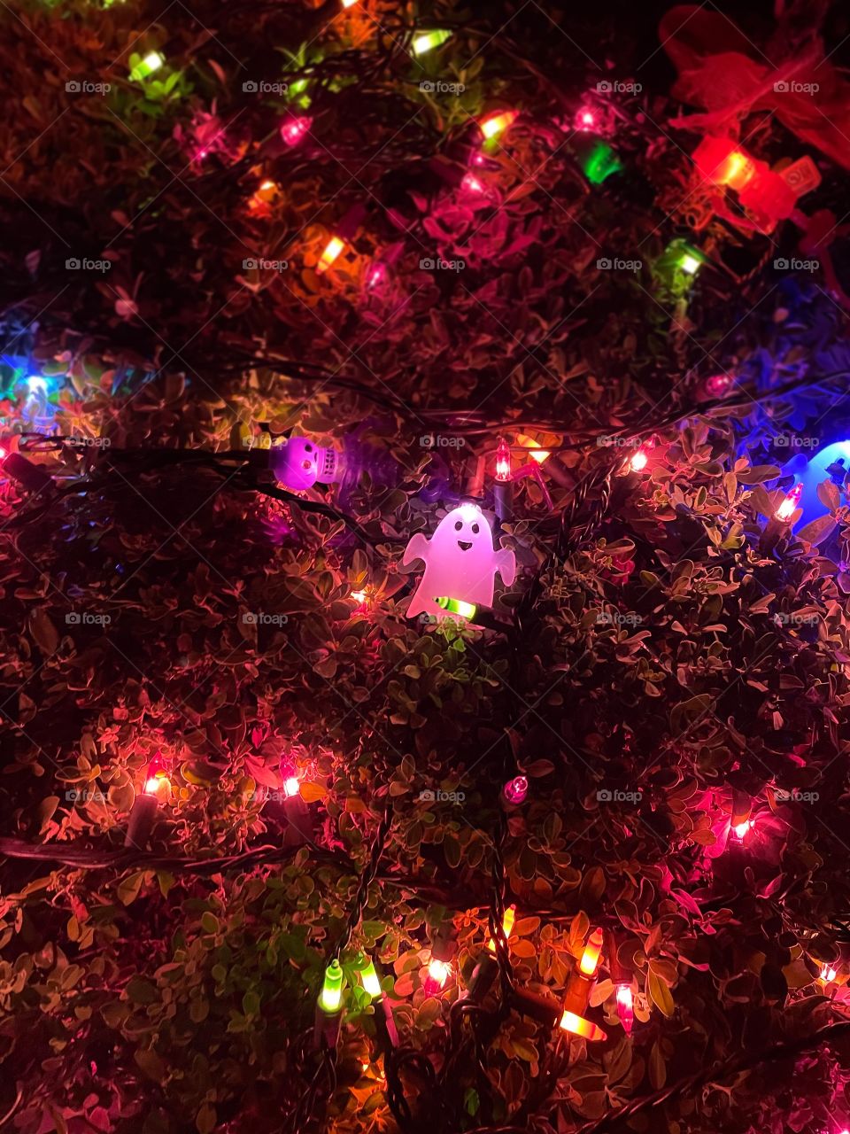 Boo! Cute little ghost chillin in a bush, surrounded by orange, green and purple lights. 