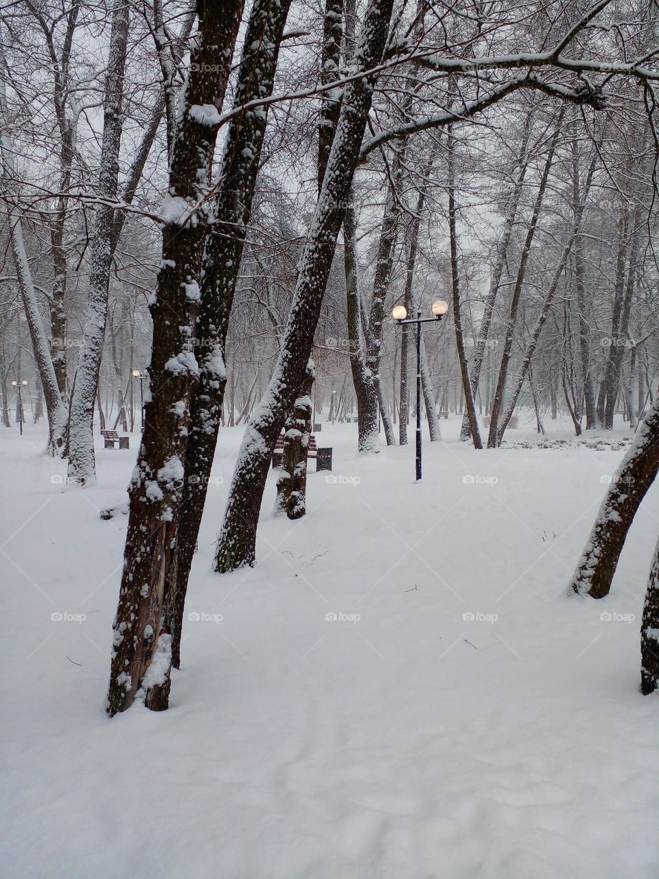 Battle: Winter vs. Spring