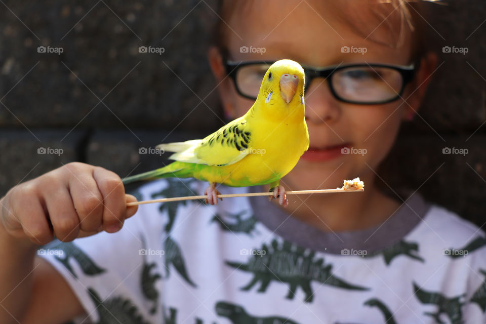 Child holding a budgerigar