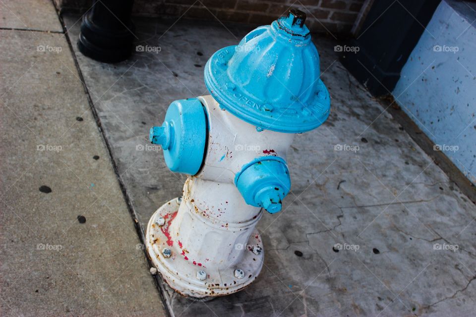 Blue and white fire hydrants