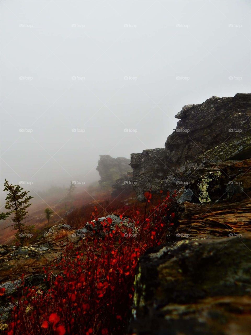 A foggy Fall Hike up on Murphy Dome in Fairbanks Alaska