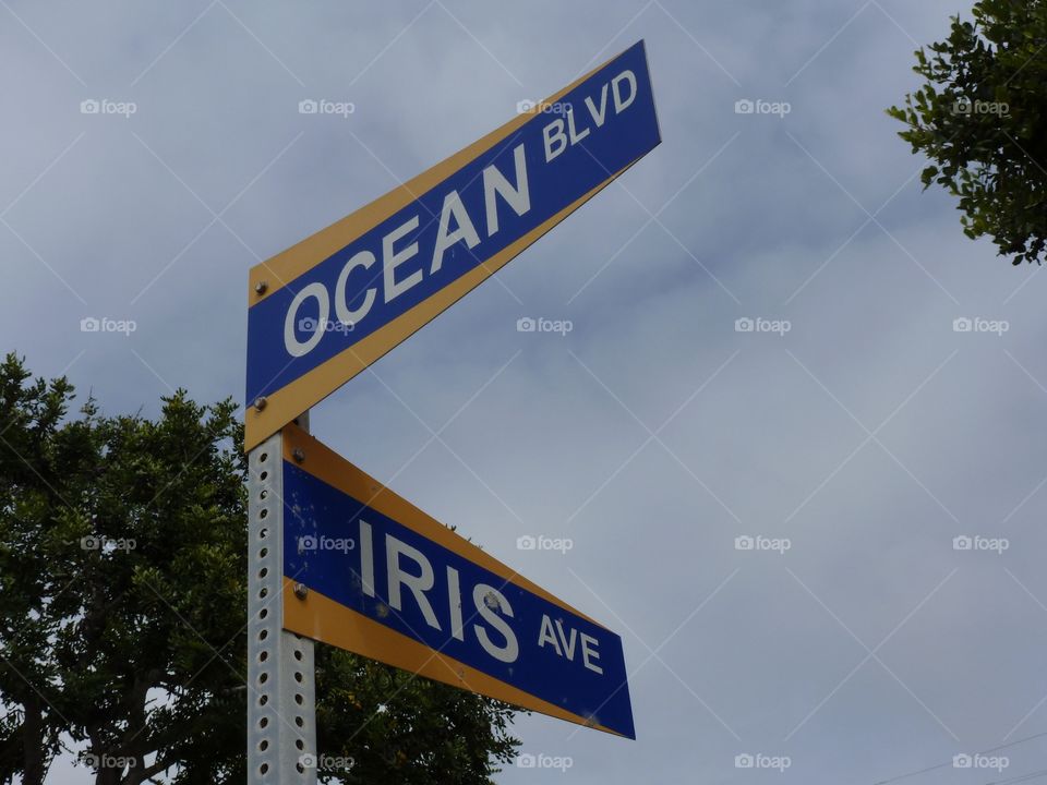 Street signs