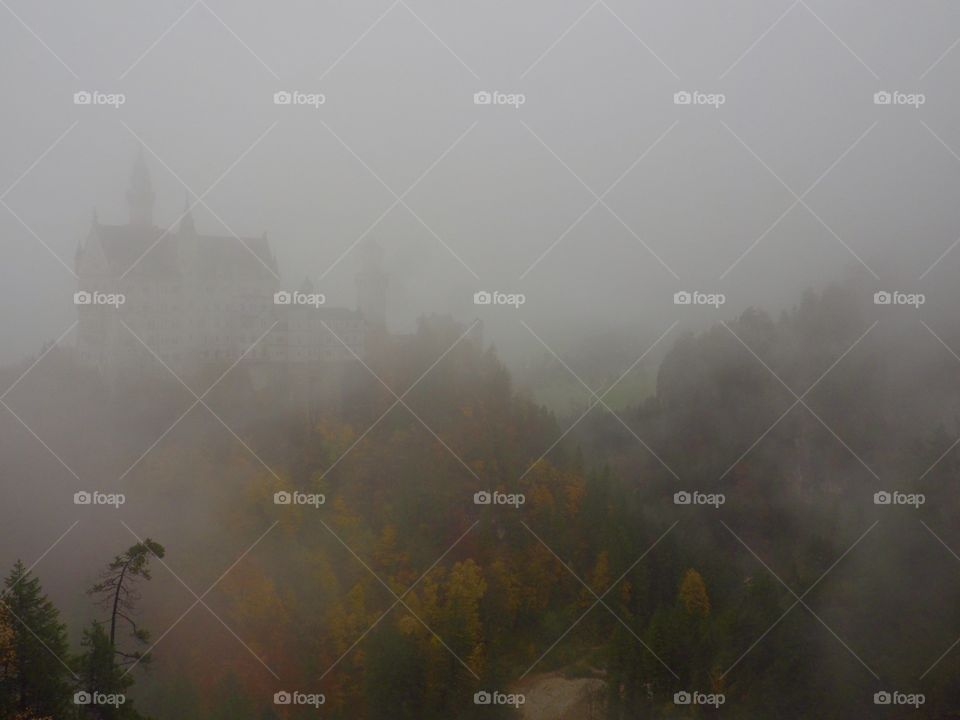 Foggy castle 