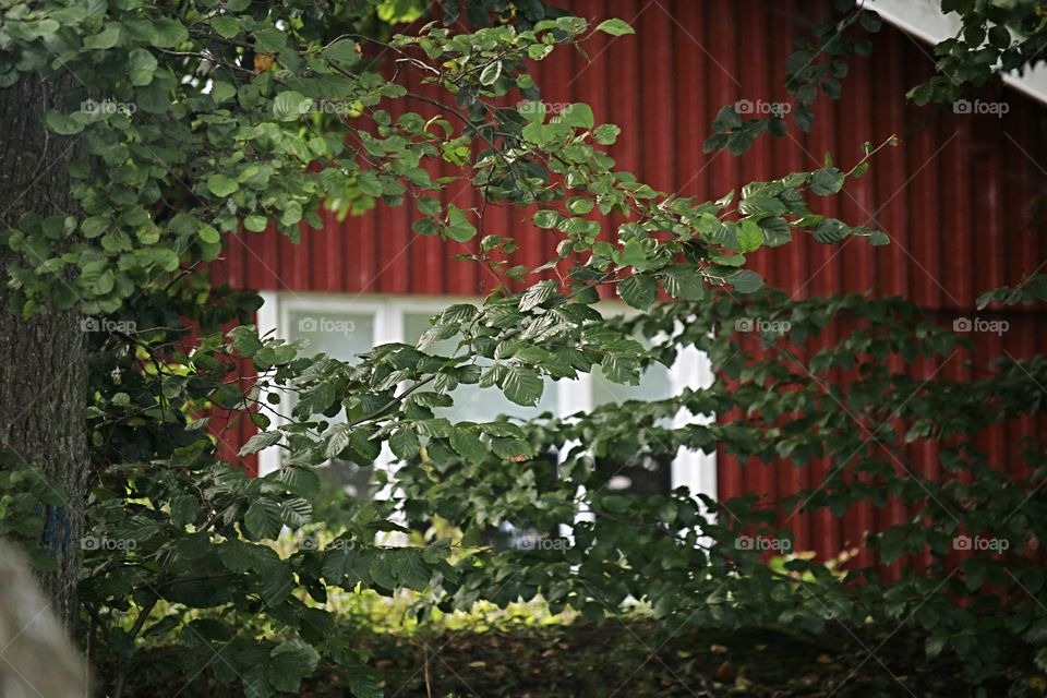 View from barbecue place.