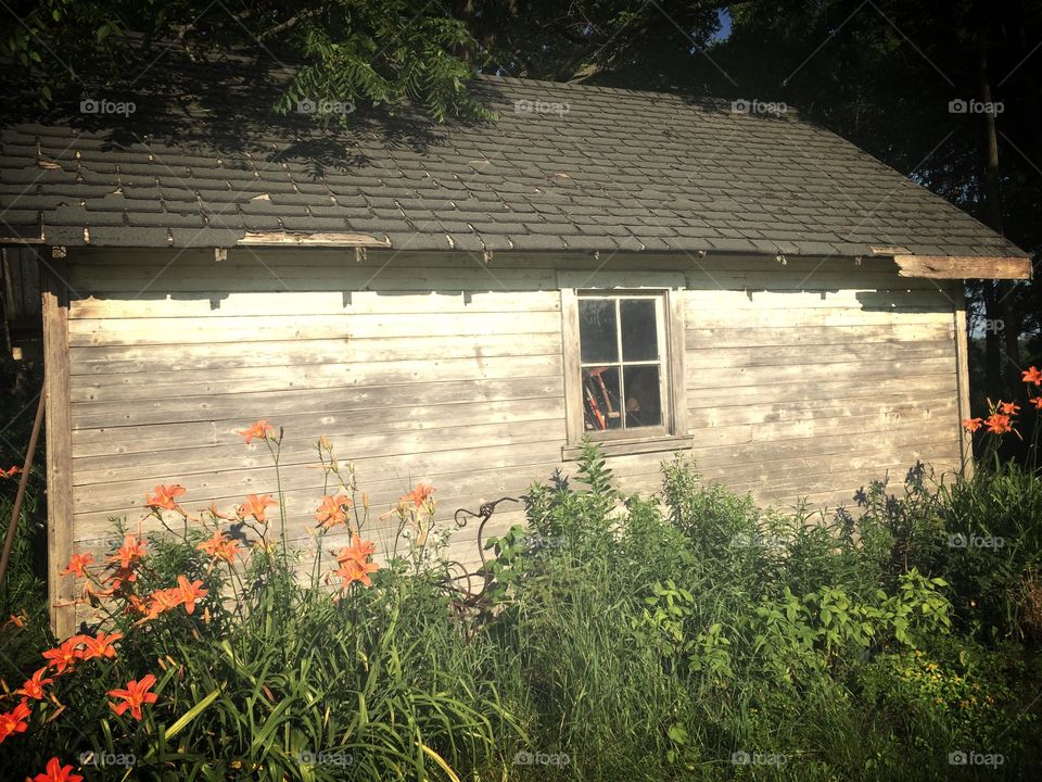 Rustic barn 