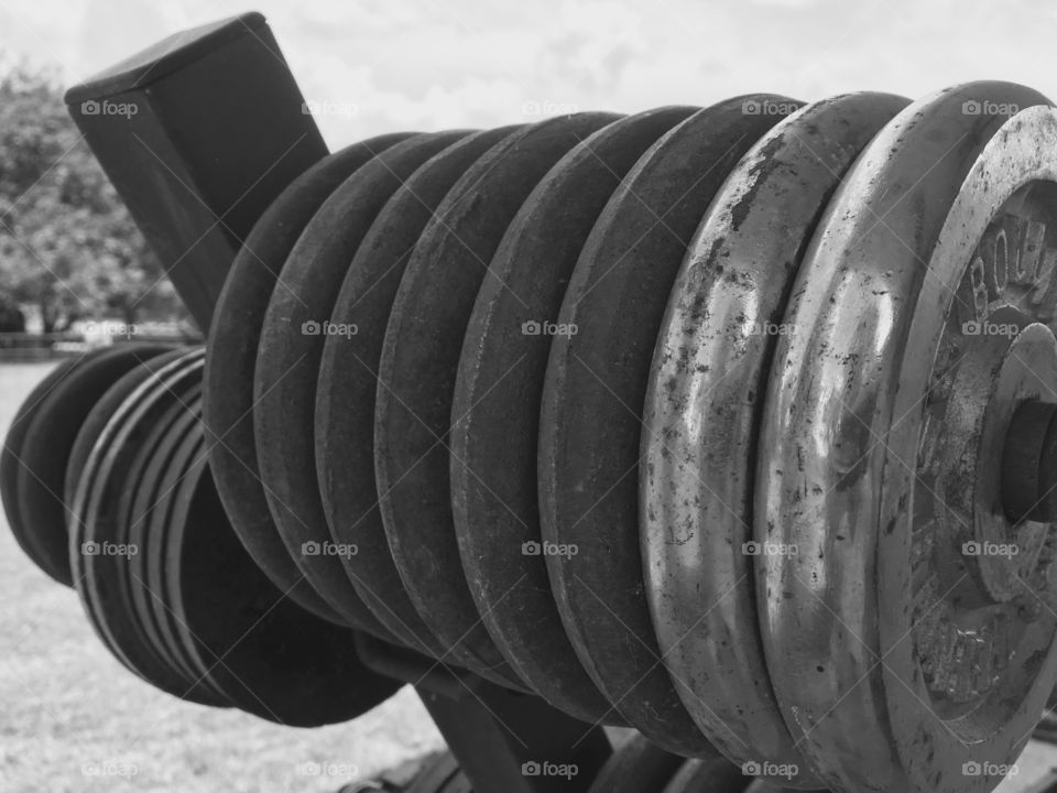 Weights on the weight tree. 