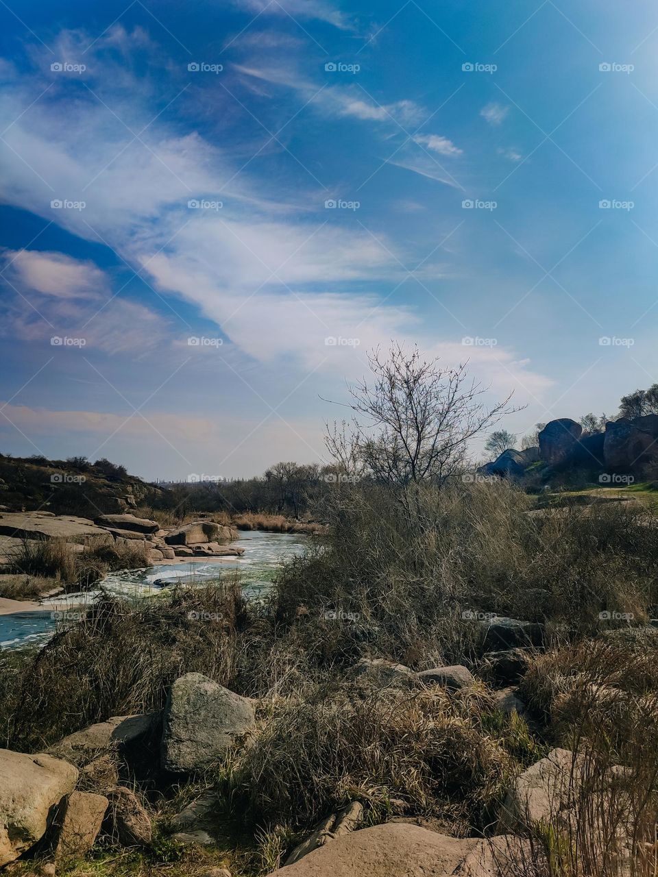 Contrast landscape of the river, blue sky, sunny spring day, trees