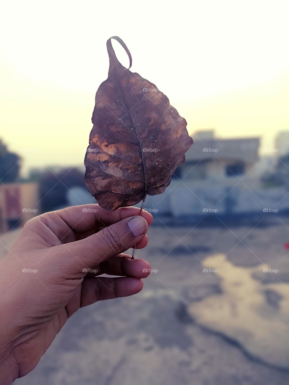 The hand of the universe in the morning with  beautiful vibes