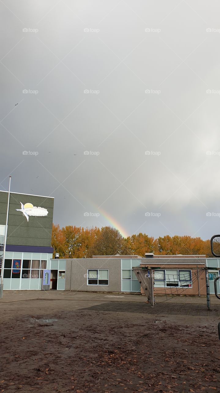 rainbow over the school