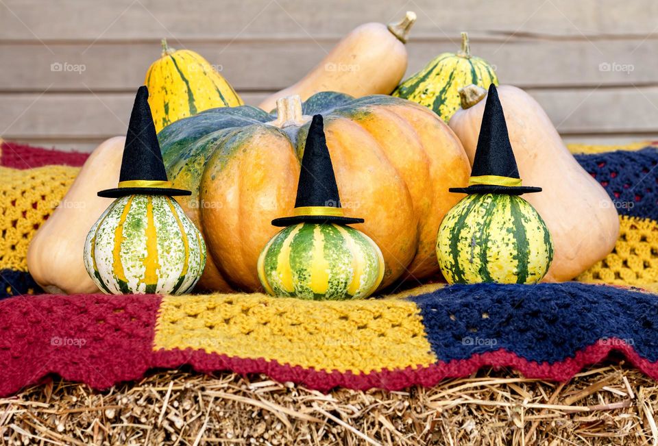 Autumn gourds wearing witch’s hats and pumpkin