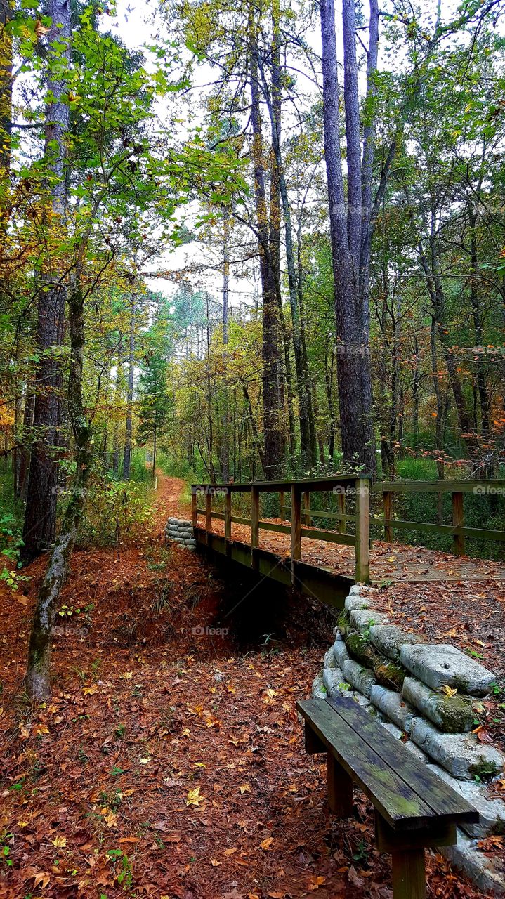 Martin Dies Creek SP