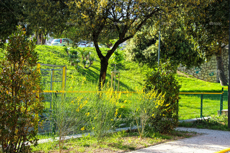 Spring in a park