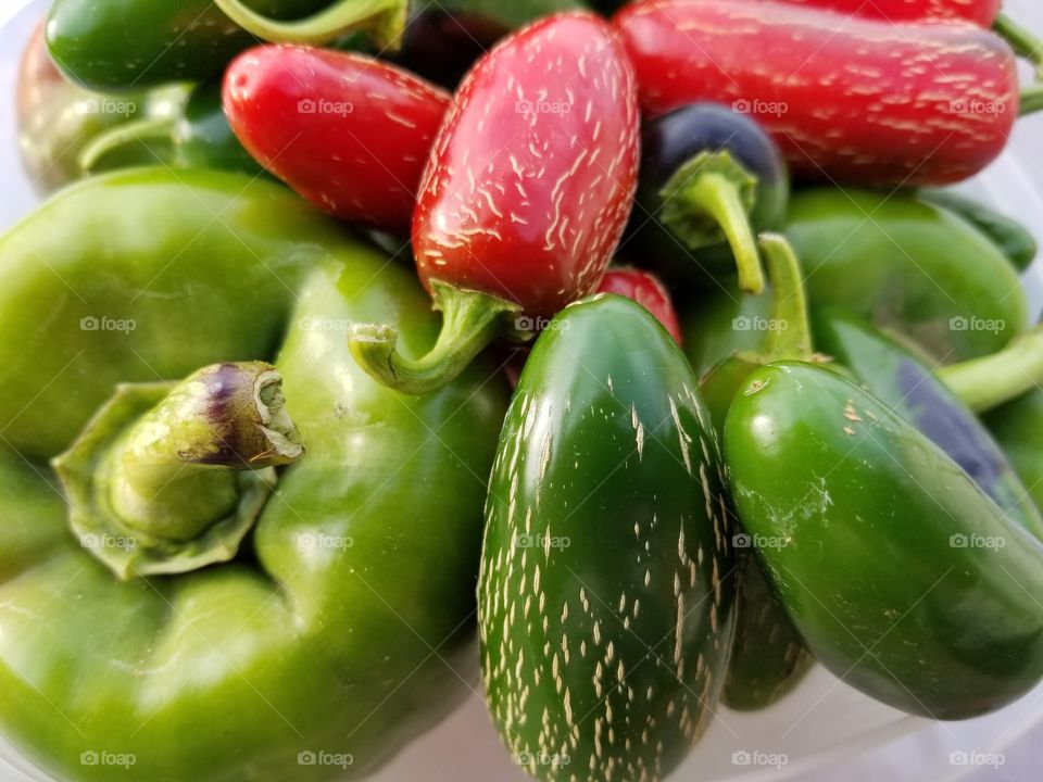 garden peppers