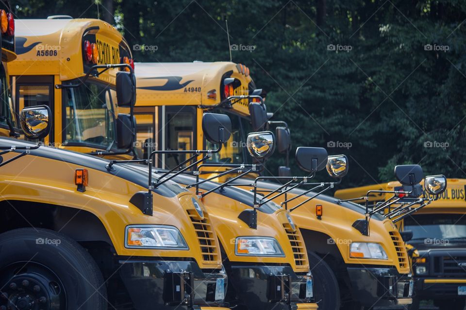 Parked yellow school busses  