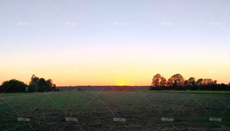 sunset