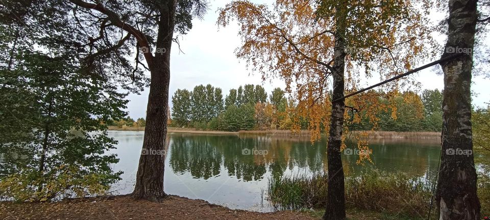 autumn nature landscape lake and reflection