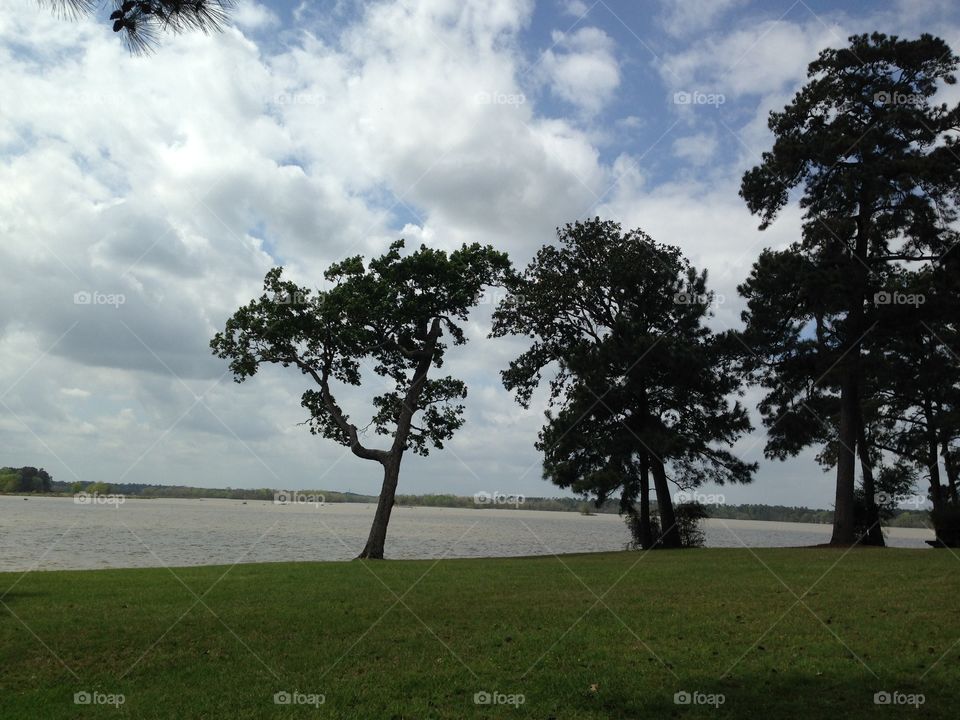Scenic view of a lake