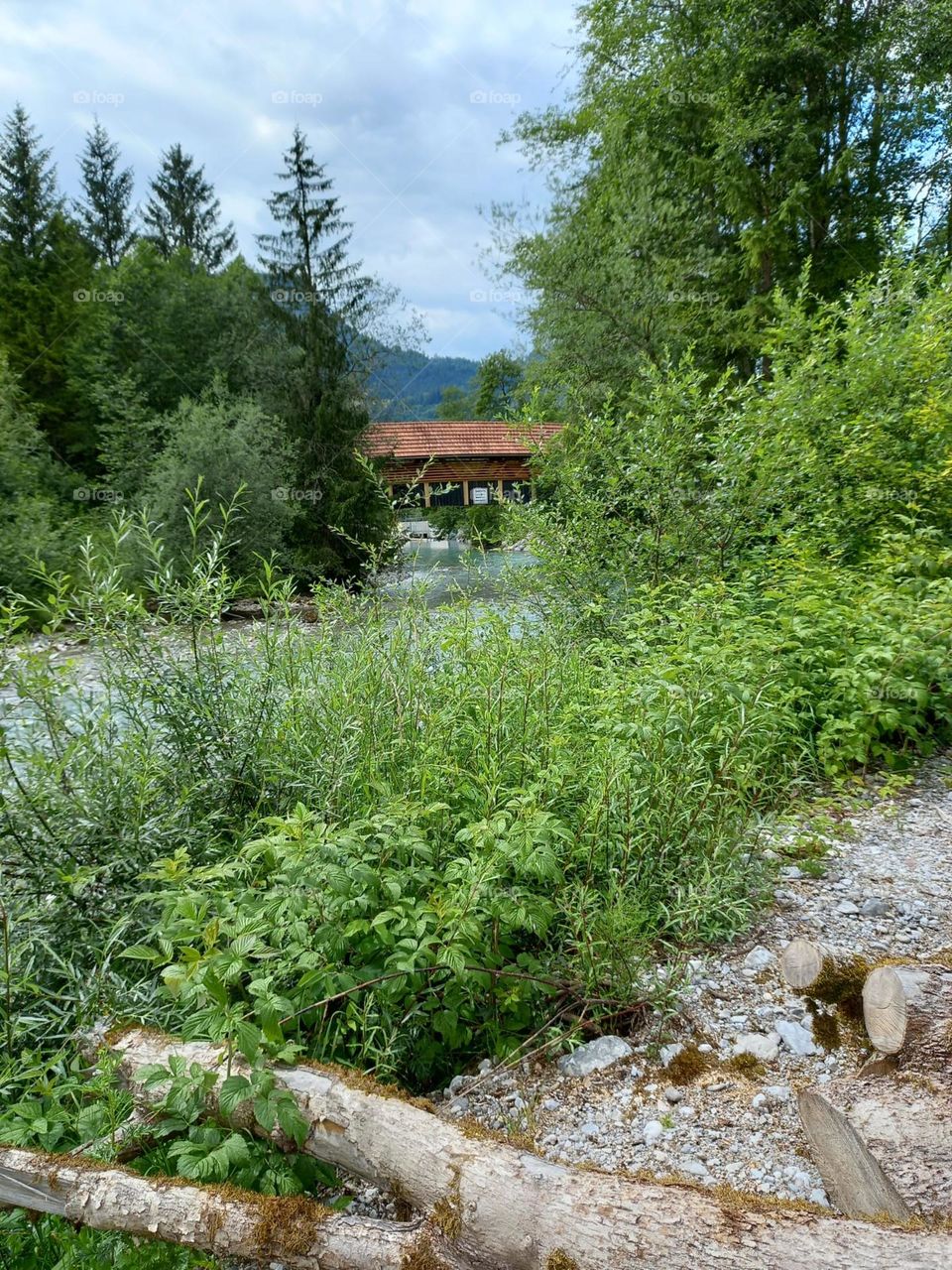 Bridge Over a Mountain River