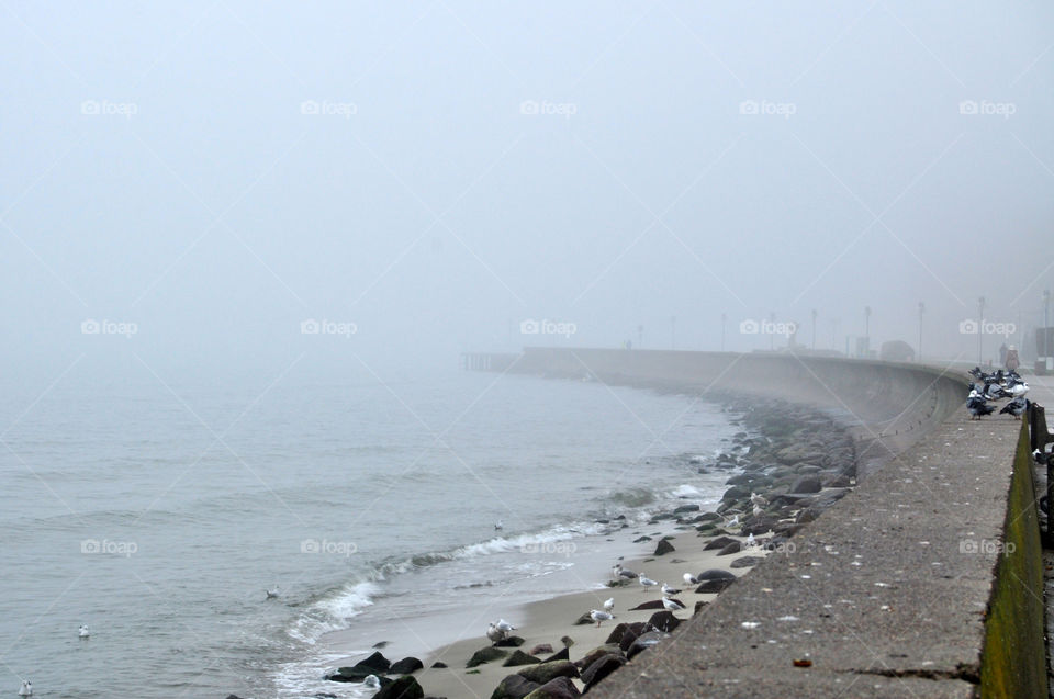 Water, Beach, Landscape, Sea, Seashore