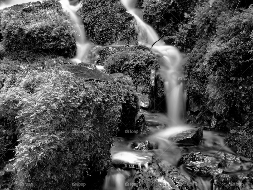 Smooth flowing Proxy Falls off of the Old McKenzie Highway in Western Oregon's Cascade Mountains running through moss covered rocks on a fall day. 