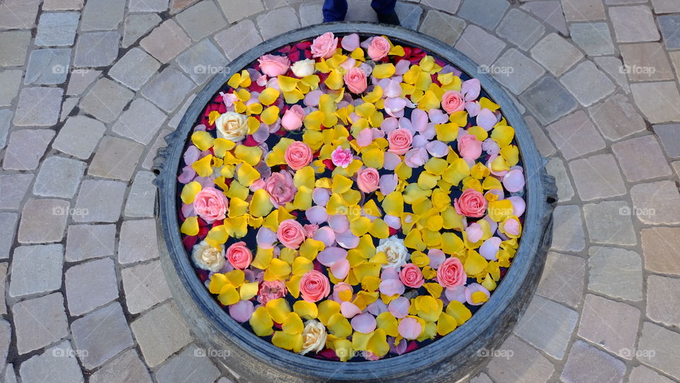 Floral arrangement