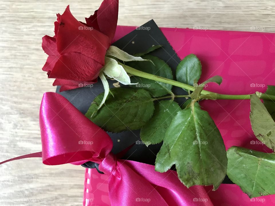 A rose and a gift box