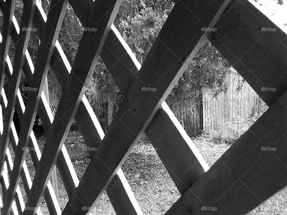 latticework  looking out