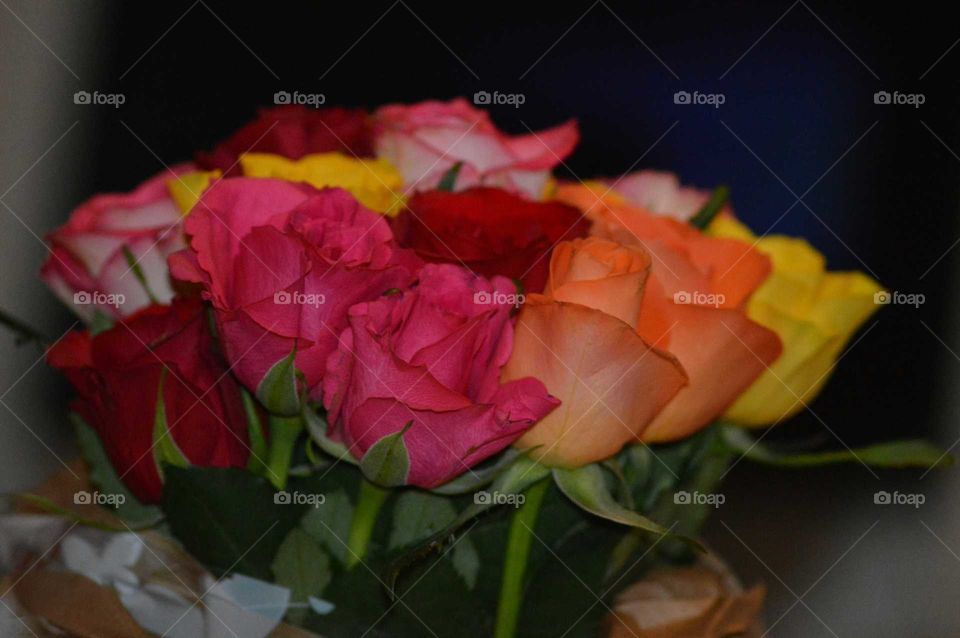 bouquet of roses