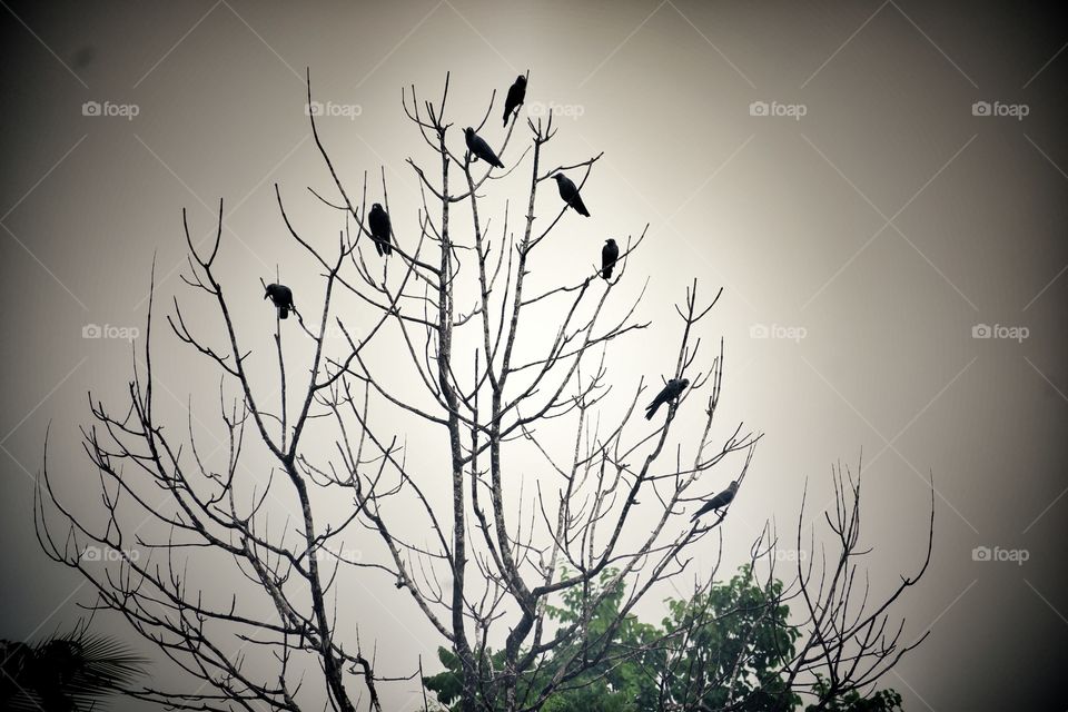 Discussion is going on...