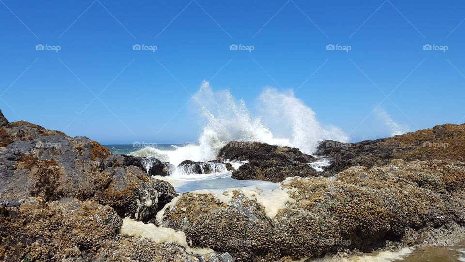 Oregon Coast