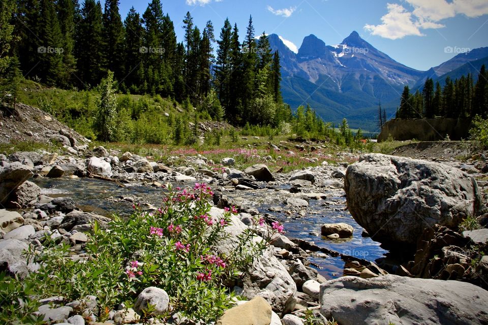 Beautiful Canmore Alberta in the summertime