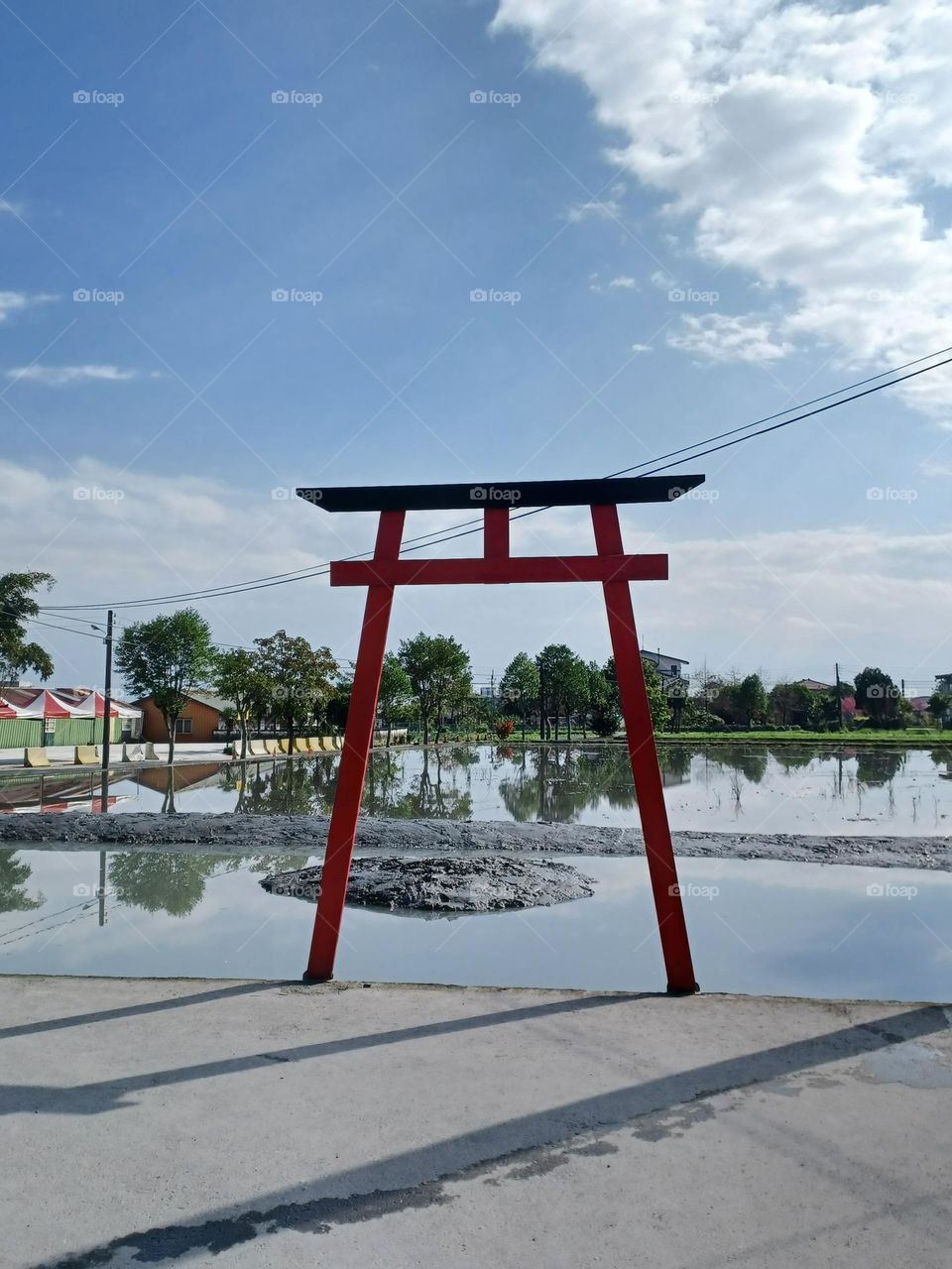 From the ground up -- The pathway to the farm.
