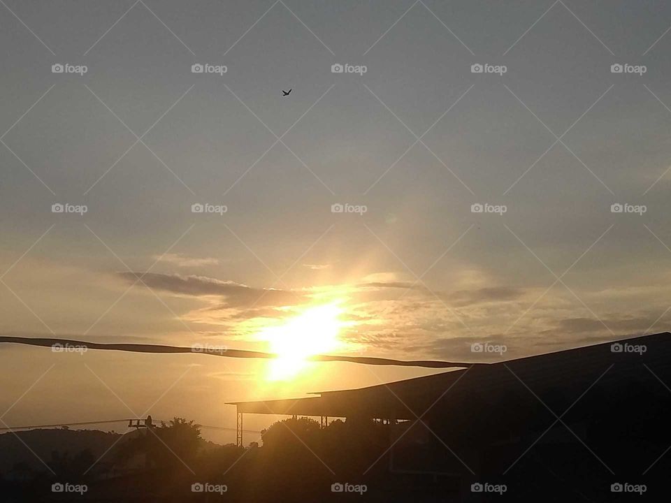 Chegando pela manhã para trazer a luz