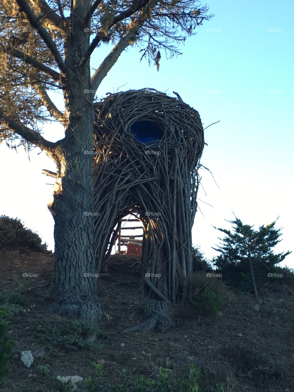 Human nest