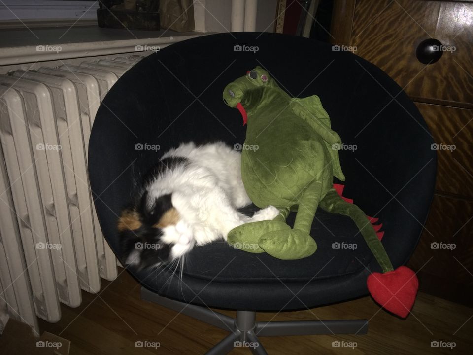 Calico cat sleeping with stuffed dragon toy