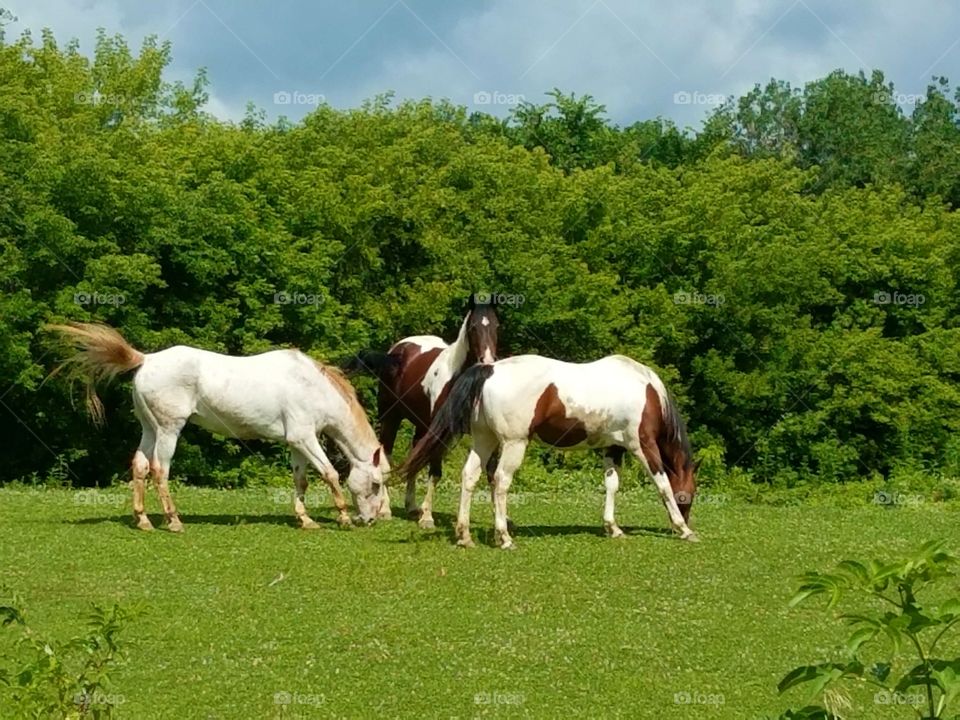 Driving the Back Roads and enjoying everything around us