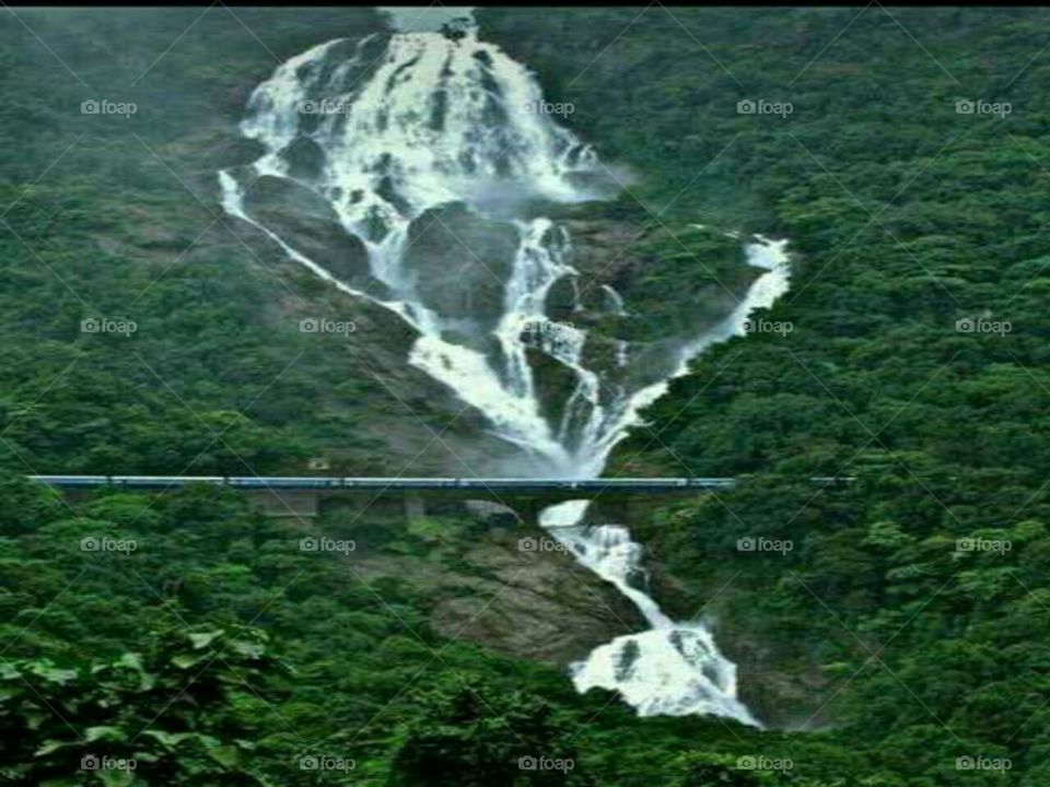 The picturesque Dudhsagar Waterfalls in Goa, India