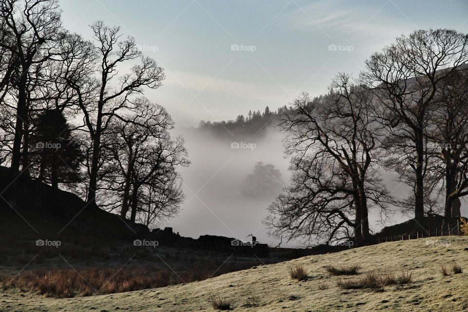 Misty morning . Morning mist in langdale