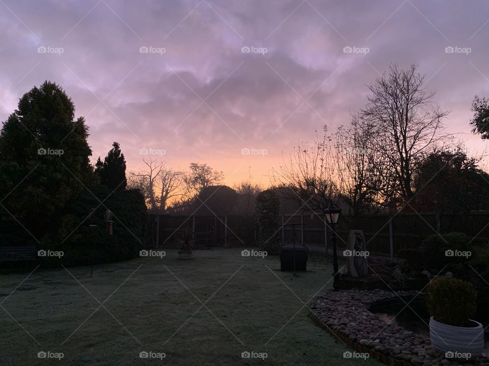 Tree, Landscape, Cemetery, Park, Light