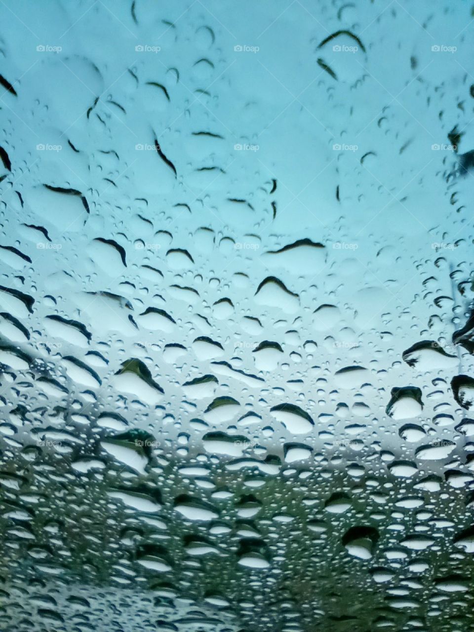raindrops on the window