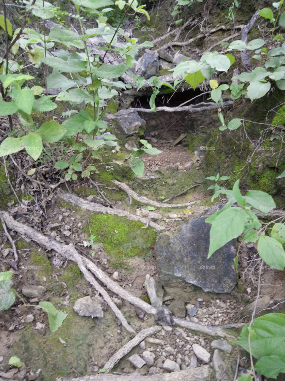 the nature of the field