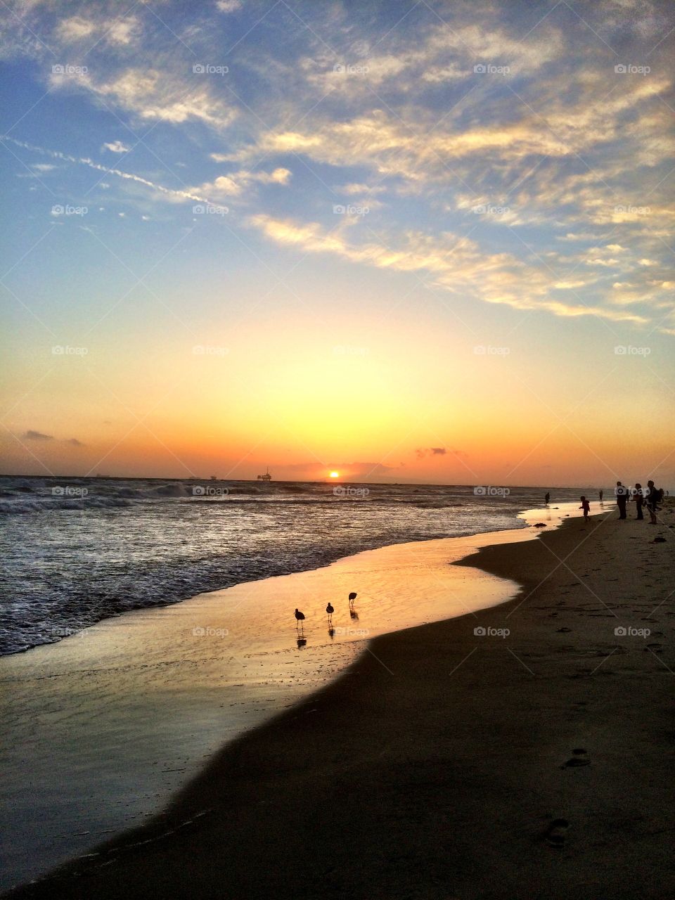 Scenic view of beach during sunset