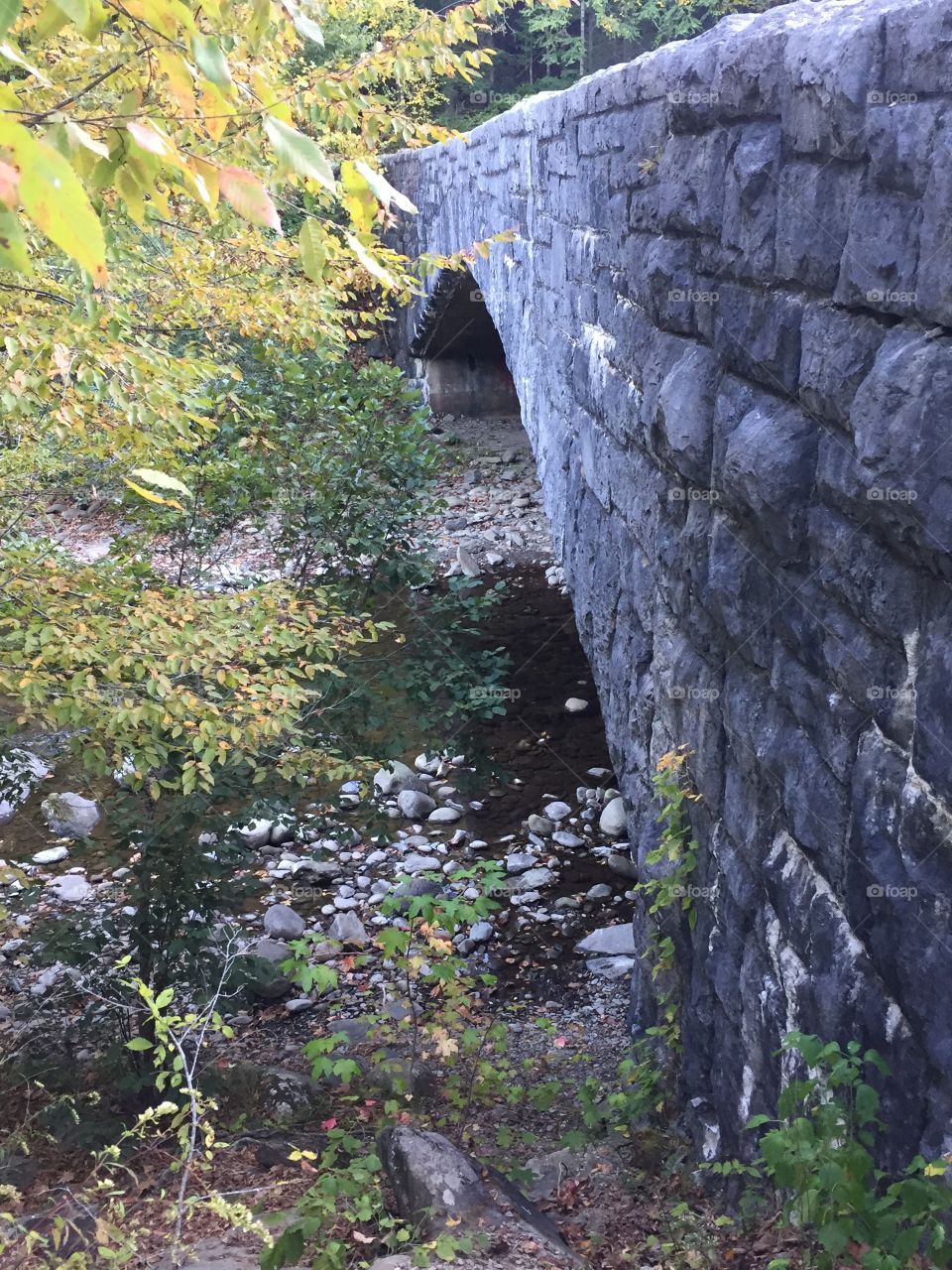 A Bridge in Tennessee