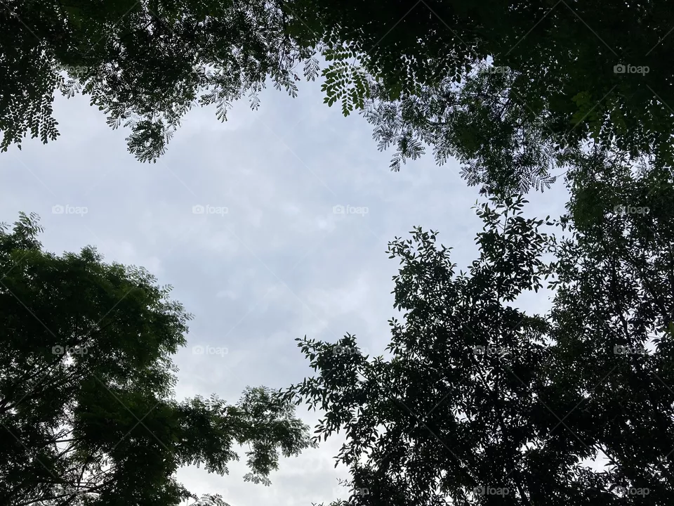 sky view