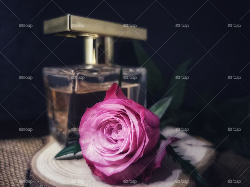 Composition with perfume, wood and red rose