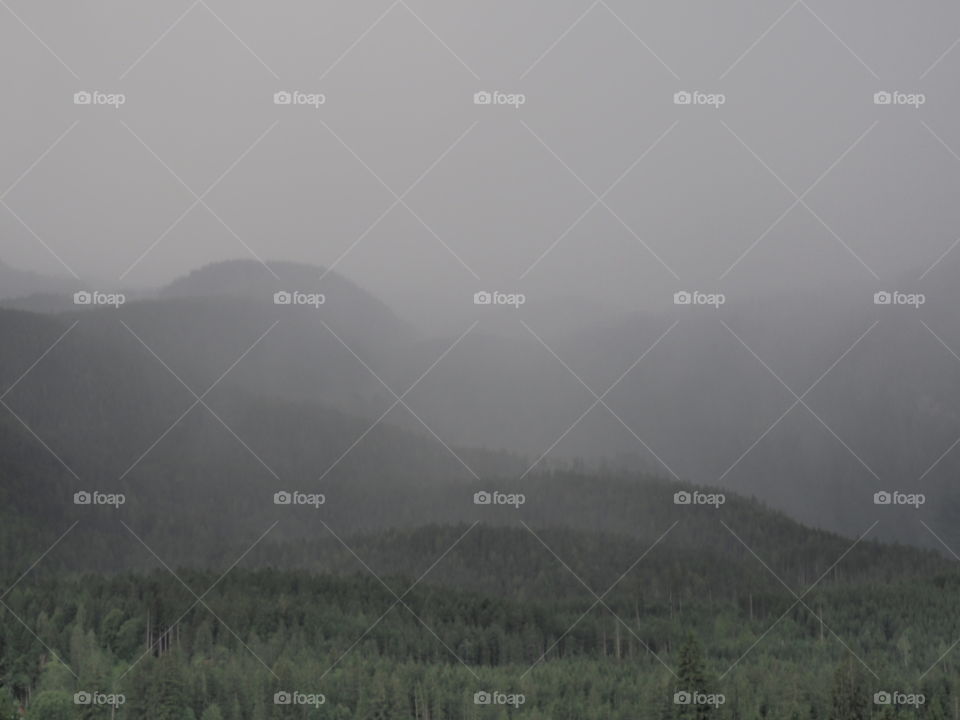 Foggy mountainside 