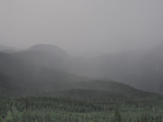 Foggy mountainside 