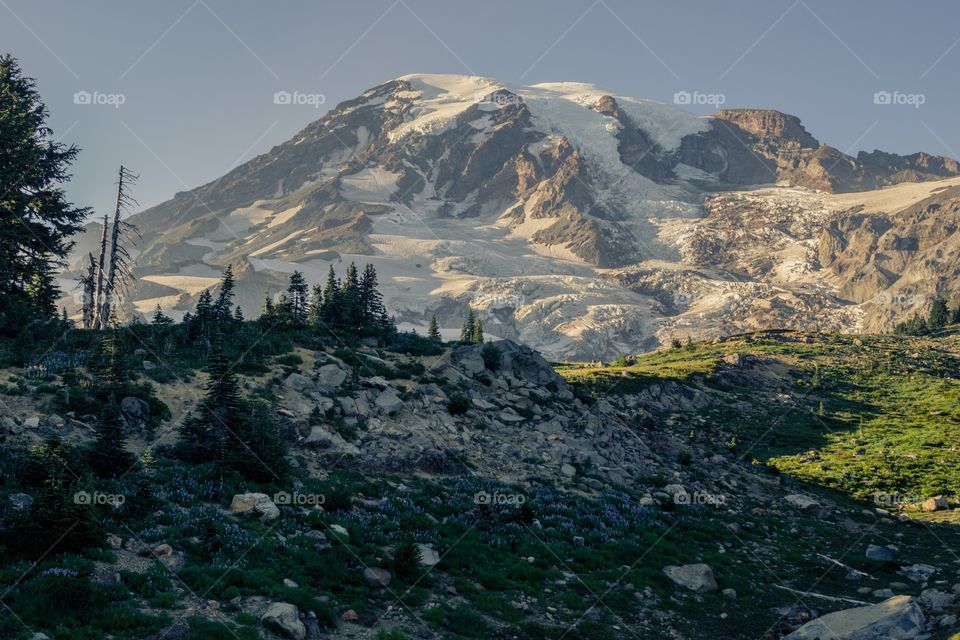 Mt. Rainer 